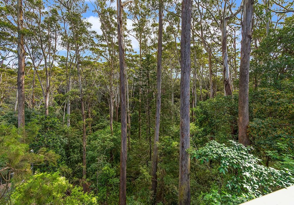 12 Bellevue Crescent, North Avoca  nsw  2260-2