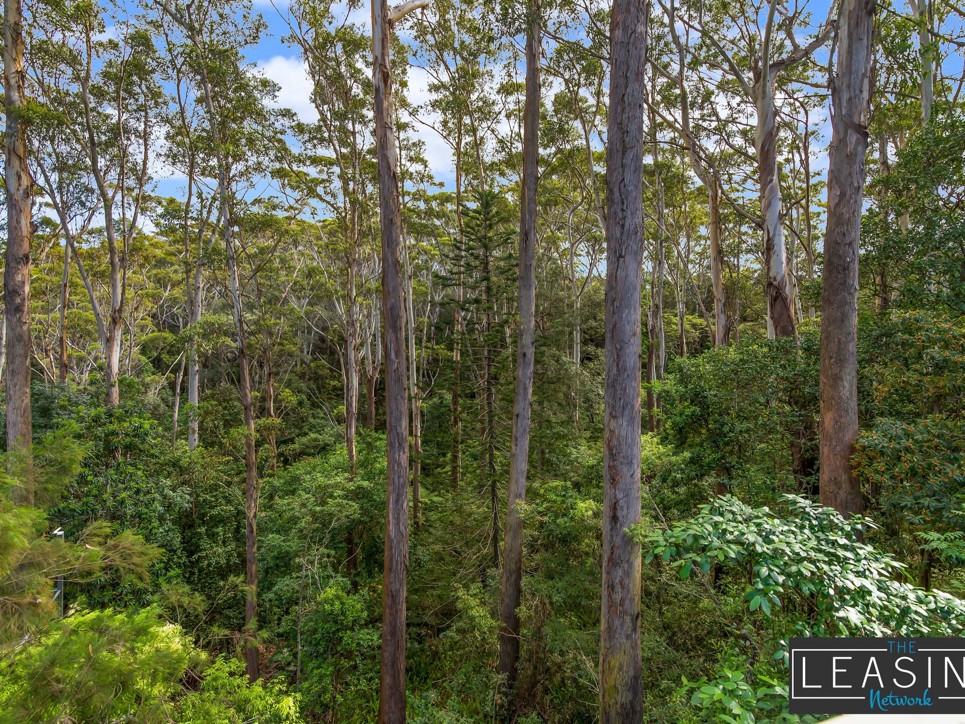 12 Bellevue Crescent, North Avoca  nsw  2260-2